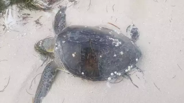 FOTOS: Julio Jiménez Mendoza