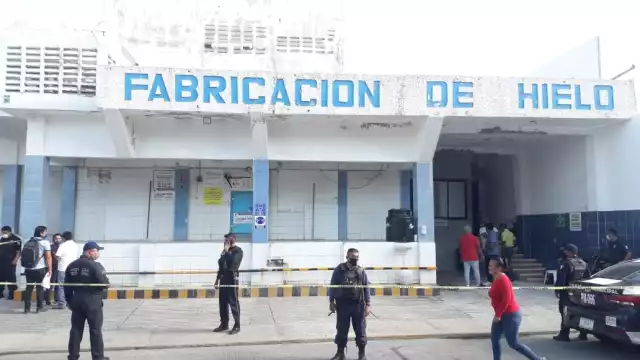 Foto:  José Pacheco