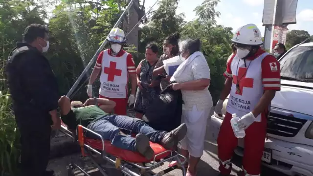 FOTOS: José Pacheco