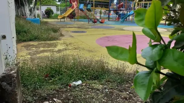 El parque no ha sido abierto al público