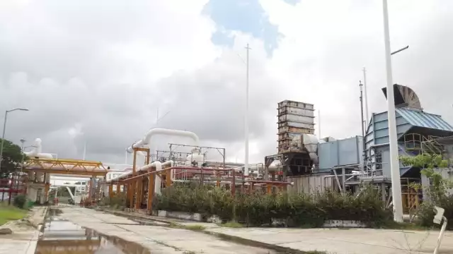 FOTOS: José Pacheco