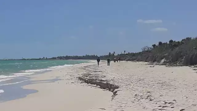 Las nueve personas fueron trasladadas al Cuartel Morelos de Tizimín