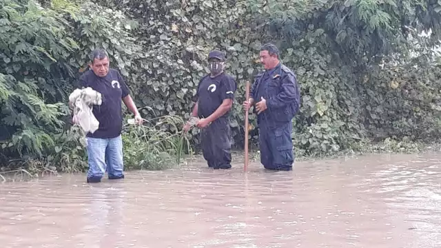 La Coordinación Estatal de Protección Civil pronosticó esta mañana que las precipitaciones pluviales continuarán por el resto del día