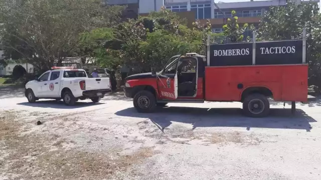 Al lugar llegaron elementos de bomberos y de Protección Civil para sofocar las llamas