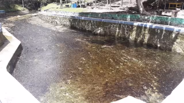 FOTO: Abraham Cohuó