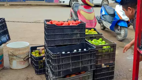 La caja de 20 kilos del cítrico se comercializa dependiendo la tonalidad La caja de 20 kilos del cítrico se comercializa dependiendo la tonalidad