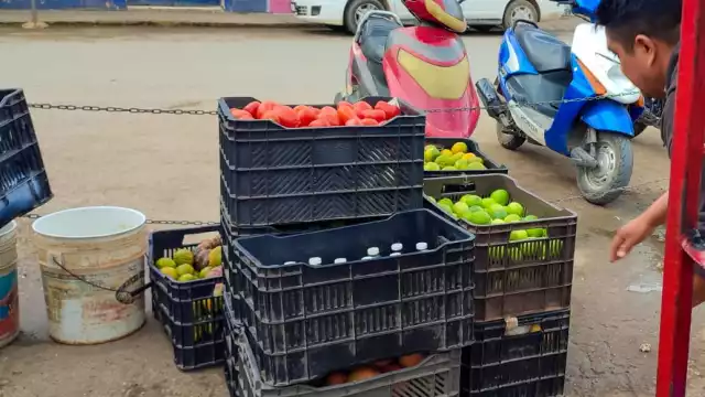 La caja de 20 kilos del cítrico se comercializa dependiendo la tonalidad