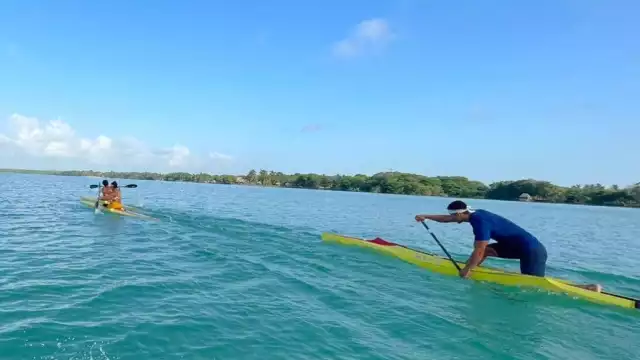 Ambas disciplinas han sido exitosas en su desarrollo en el estado, con importantes representaciones tanto regional y nacional como internacionales