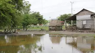 Fuga de agua crea una laguna artificial en Felipe Carrillo Puerto, Quintana Roo