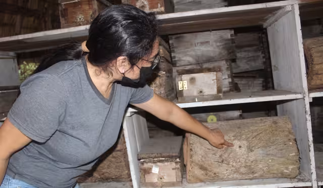 La MVZ Paola Valladares lleva más de dos décadas criando a la especie conocida como Xunan Kab