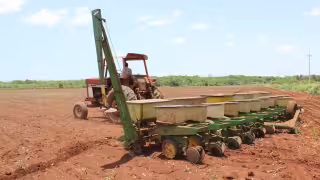 Campeche sembrará 55 mil hectáreas de soya en 2026; prevén mejor precio para productores