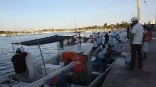 La mayoría de los ejemplares que se capturaban no tenían el tamaño reglamentario