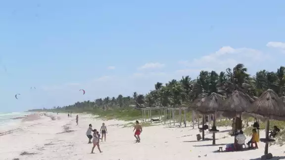 Los empresarios deben dejar el 30% de áreas verdes, no ocupar zonas federales ni destruir la flora Los empresarios deben dejar el 30% de áreas verdes, no ocupar zonas federales ni destruir la flora