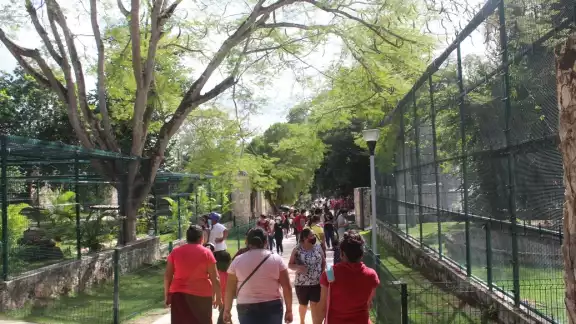 El zoológico La Reina de Tizimín es uno de los atractivos turísticos del municipio El zoológico La Reina de Tizimín es uno de los atractivos turísticos del municipio