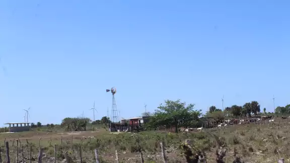 San Fernando de Aké fue conocida como una comunidad de negros provenientes de Haití y Belice San Fernando de Aké fue conocida como una comunidad de negros provenientes de Haití y Belice