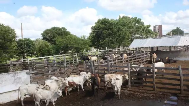 Foto: Efraín Valencia