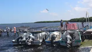 Onda Tropical 34 paraliza otra vez la pesca en el Litoral Oriente de Yucatán