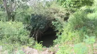 La fortuna perdida de los Batab y el enigma del cenote Sascabah: Conoce la famosa leyenda de Sucopo en Tizimín