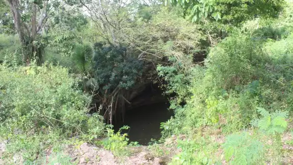 El cenote Sascabah guarda una antigua fortuna que se entreteje con una historia de amor El cenote Sascabah guarda una antigua fortuna que se entreteje con una historia de amor