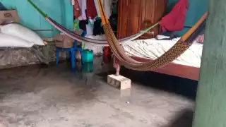 Fuertes lluvias provocan inundaciones en la comunidad Presidente Juárez de Quintana Roo