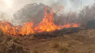 Ya son 76 elementos de Semadet que se encuentran en el lugar