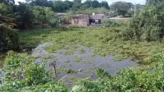 FOTO: Miguel Améndola