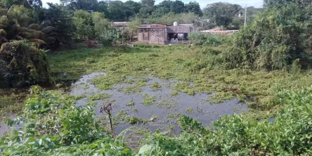 FOTO: Miguel Améndola