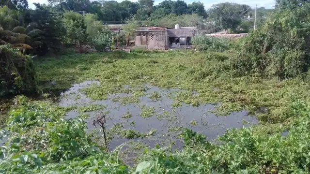 FOTO: Miguel Améndola