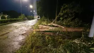 Tormenta tropical Gamma se acerca a costas mexicanas y provoca alerta roja en Quintana Roo