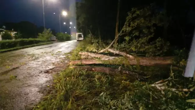 Foto: Protección Civil Quintana Roo