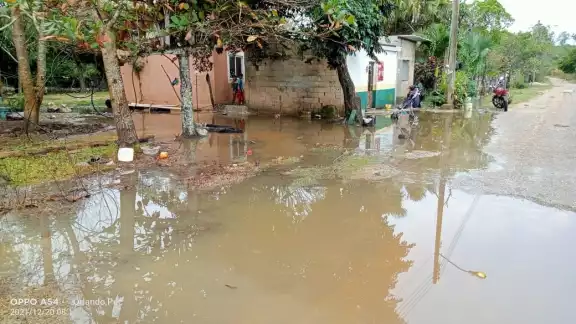 Se pudrirán cerca de 4 hectáreas de tomate y se prevé que continúen las precipitaciones pluviales Se pudrirán cerca de 4 hectáreas de tomate y se prevé que continúen las precipitaciones pluviales