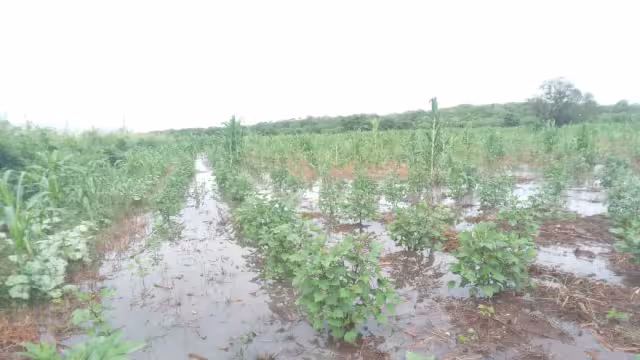 Seguirá el mal tiempo hasta el primero de octubre; pero también calor por el día