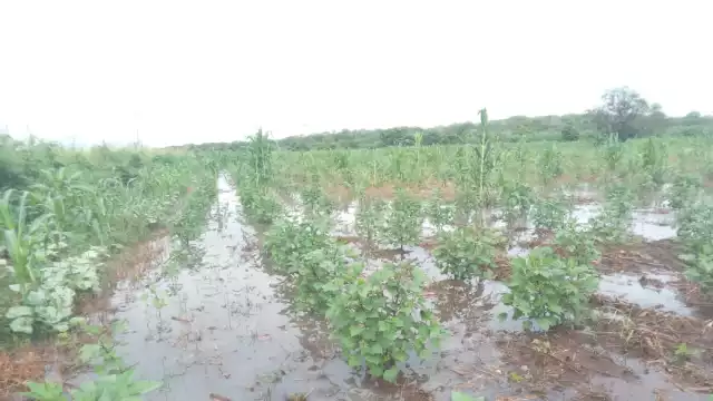Seguirá el mal tiempo hasta el primero de octubre; pero también calor por el día