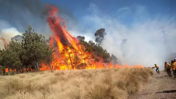 Quedan tres incendios por liquidar Quedan tres incendios por liquidar