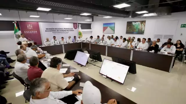 Joaquín Díaz Mena dijo que se tomarán medidas, como baños con larvicidas, inspecciones en rutas y embarques