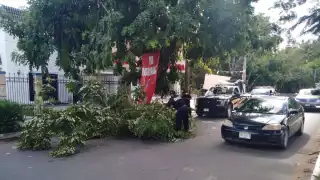 Foto: Fernado Poó Hurtado