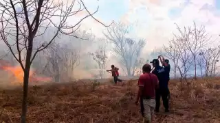 Protección Civil Municipal se encargó de controlar el siniestro