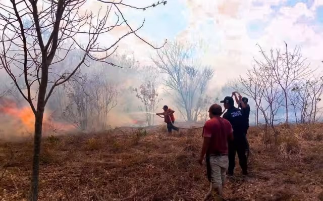 Protección Civil Municipal se encargó de controlar el siniestro