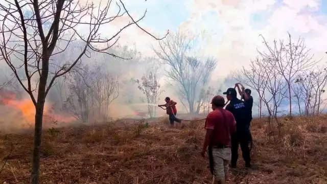 Protección Civil Municipal se encargó de controlar el siniestro