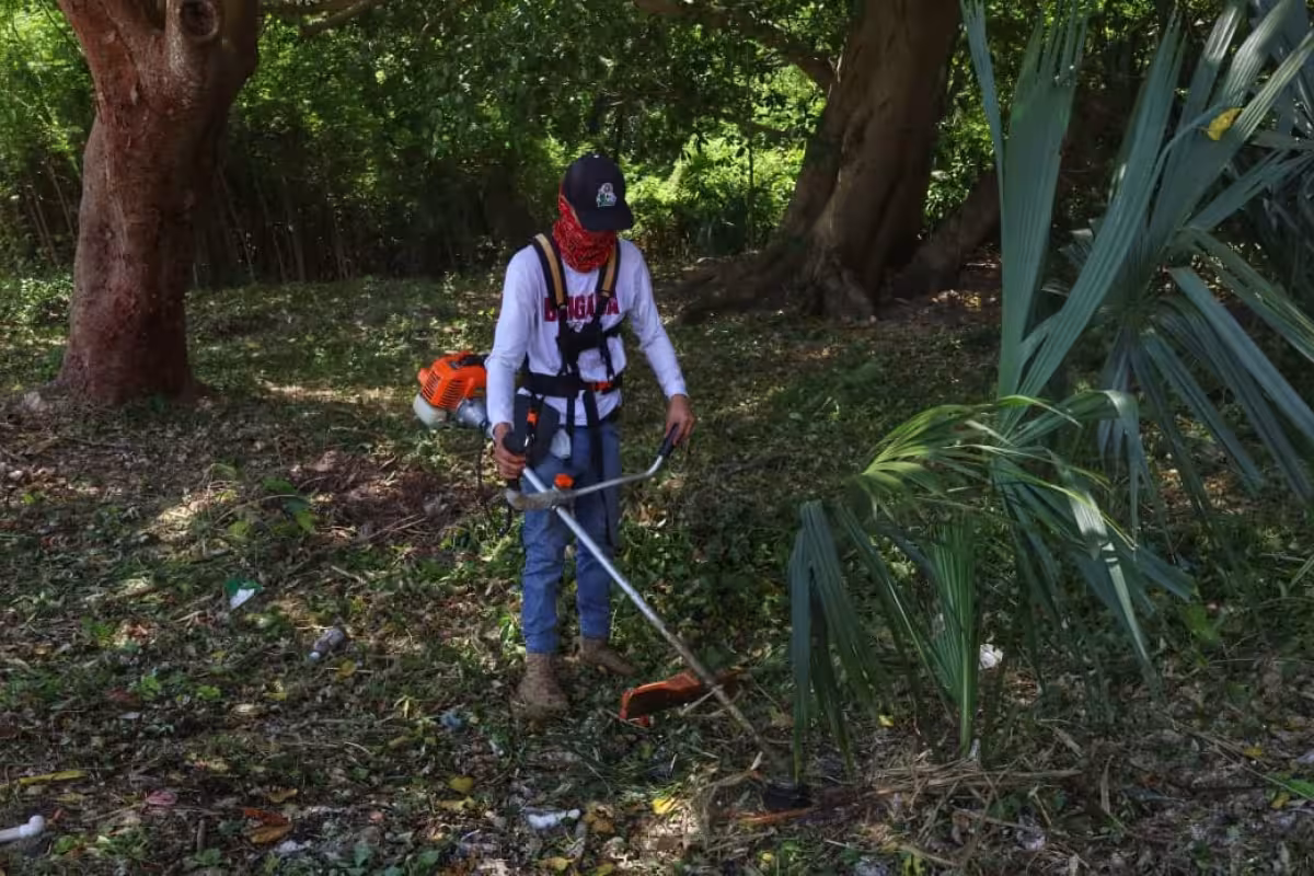 Recolectan 45 toneladas de basura en Boulevard Bahía de Chetumal - PorEsto