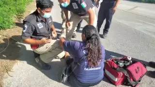 La mujer presentó golpes y raspones