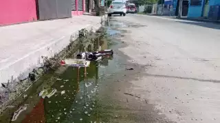 FOTOS: Agustín Ferrer