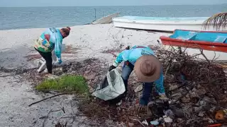 Asociaciones de protección ambiental limpiaron manglares de Ciudad del Carmen
