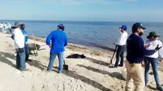 En cada hueco se depositó entre 20 y 30 kilos de especies entre ellas escama y molusco. 