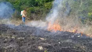 Los cuerpos de emergencia empiezan a ser rebasados por los conatos de incendios