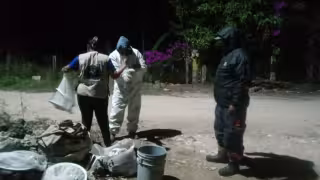 Enjambre de abejas atacó a trabajadores de CAPA en Ramonal, Chetumal