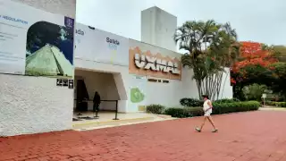 Pese a la reapertura se reporta una baja presencia de turistas