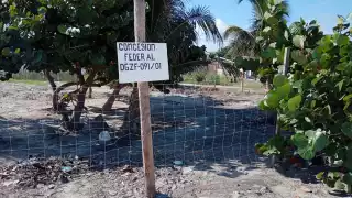 Foto: Fernando Kantún