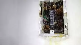 La miel comenzó a escurrir del centro de carga de energía eléctrica de manera inexplicada