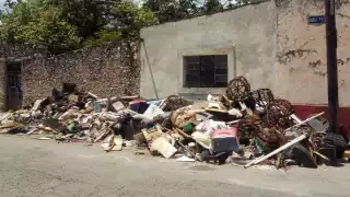 Los cacharros se pueden nidos de animales y focos de infección